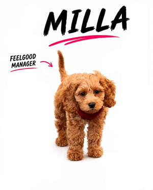 Milla_Vorschau